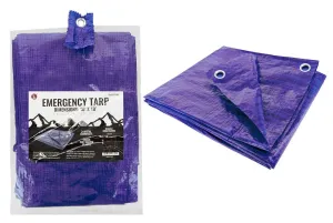 10'x10' Emergency Tarp