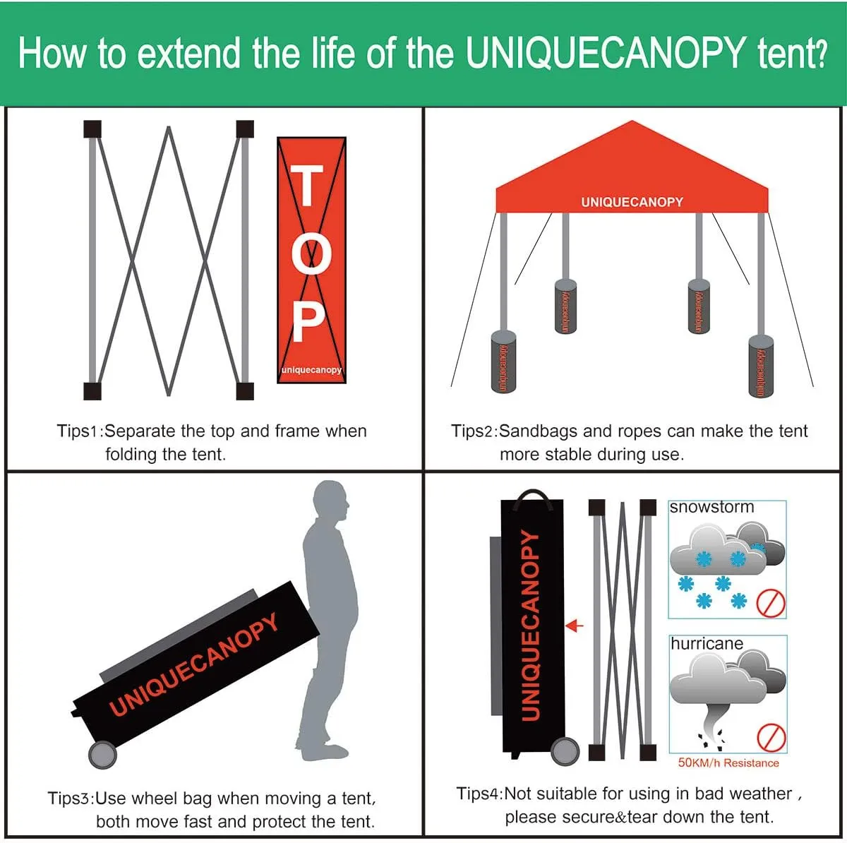 10'x10' Pop Up Canopy Tent Commercial Instant Shelter with Heavy Duty Roller Bag, 4 Canopy Sand Bags, 10x10 FT Dark Green
