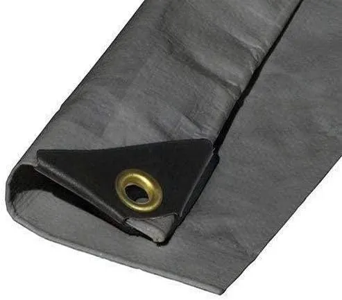 10'X60' EXTRA Heavy Duty 12 mil Silver Tarp 3 Ply Coated Reinforced Canopy 6 oz 3 Layer (Includes Tarps Tools and Toys Maintenance Manual)