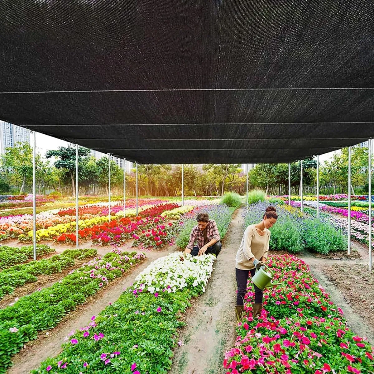 70% Garden Patio Shade Cloth, Shade Mesh Tarp with Upgraded Grommets, UV-Resistant Shade Sails for Greenhouse, Garden, Patio Plants, Pergola, Parking(Size:6.6FT X 23FT)