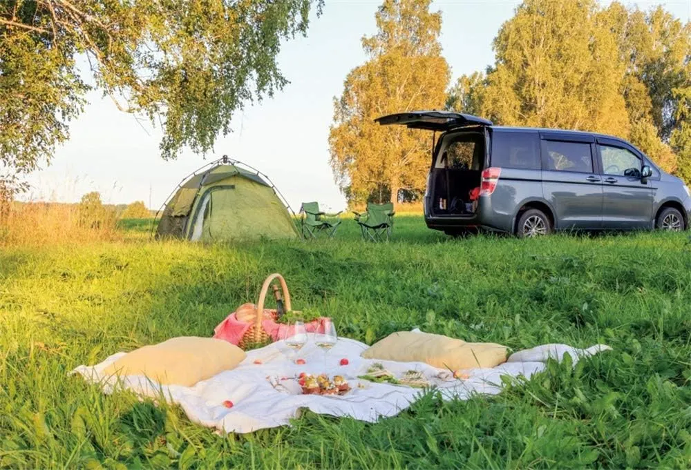 AOFOTO 7x5ft Spring Outdoor Picnic Backdrop Lawn Picnic Tent Car Picnic Basket Pillow Grassland Photo Background Wild Landscape Kids Audlts Family Photoshoot Portrait Artistic Studio Prop Vinyl