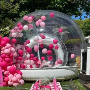 Bubble House 3M PVC Commercial Inflatable Tent Clear Dome Camping Bubble Tent with Air Pump for Indoor/Outdoor
