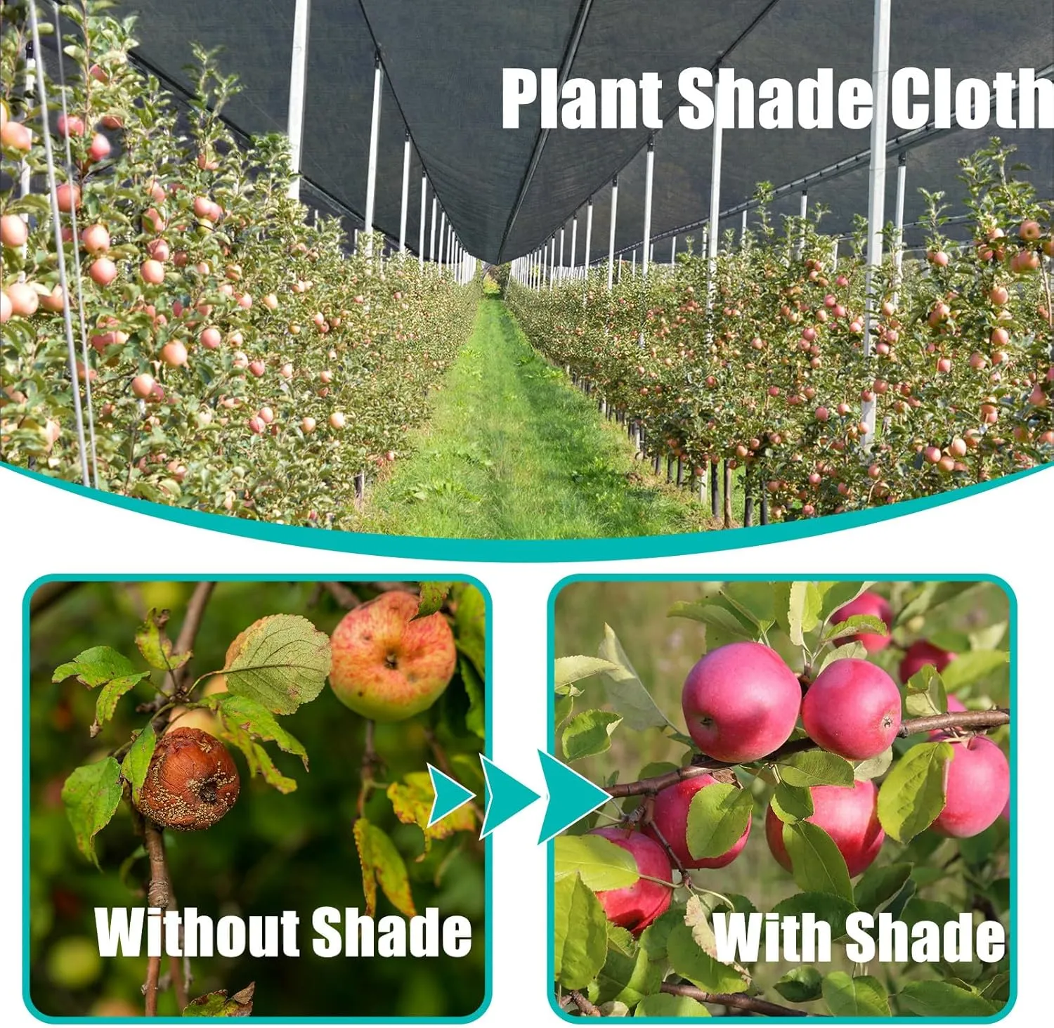 Cliselda 30% Black Shade Cloth for Garden, 10 x 50ft UV Resistant Mesh Tarp with Grommets, Durable Sun Shade Netting Sunblock Fabric Plants Cover for Greenhouse, Vegetables and Patio