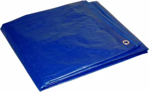 Dry Top Multi-Purpose Economy Poly Tarp, 16x20 Feet, Blue