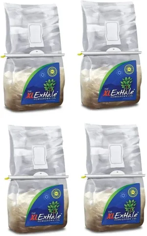 Exhale Homegrown CO2 365 - Self-Activated Bag 2/ Hanger & Twin Canaries Chart for Grow Rooms & Tents - Great for Indoor Grow Rooms - CO2 for Grow Tents - 4lbs. (4 Pack)