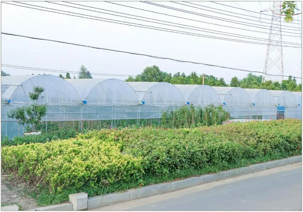LXB Outdoor Multipurpose Tarpaulin-Waterproof Clear Tarp with Reinforced Corners, Transparent Greenhouse Film 4-Mil, Succulents Open Storage/Garden Tent,2Mx8M