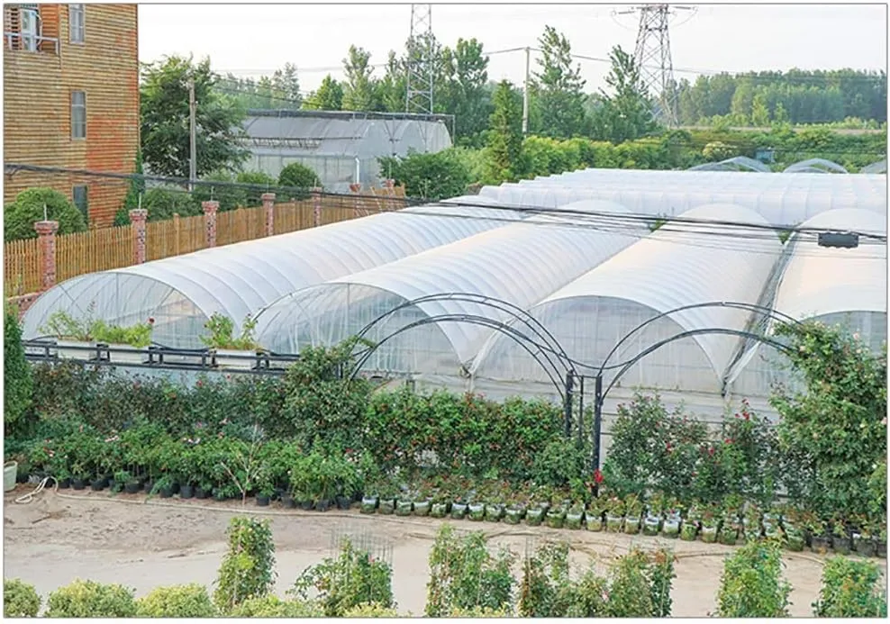 LXB Outdoor Multipurpose Tarpaulin-Waterproof Clear Tarp with Reinforced Corners, Transparent Greenhouse Film 4-Mil, Succulents Open Storage/Garden Tent,2Mx8M