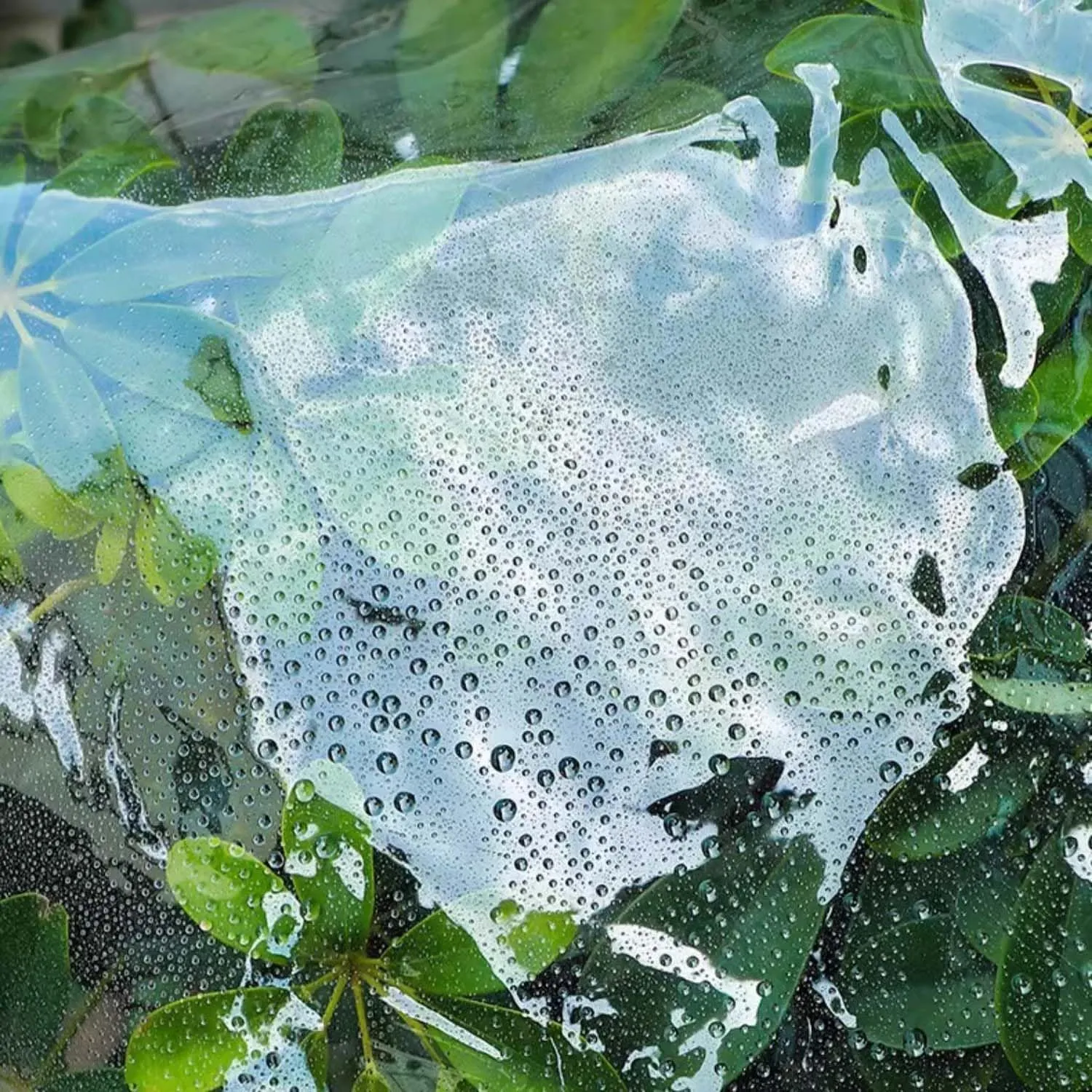 Transparent Heavy Duty Waterproof Tarp 5.6x13.1ft, Clear Tarpaulin, Tarpaulin Waterproof Cover, Clear PVC Cover with Grommets, for Garden & Outdoor